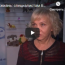 Центр Моя семья Киров